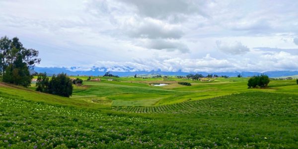 1-TERRENO HUAYPO 250F​